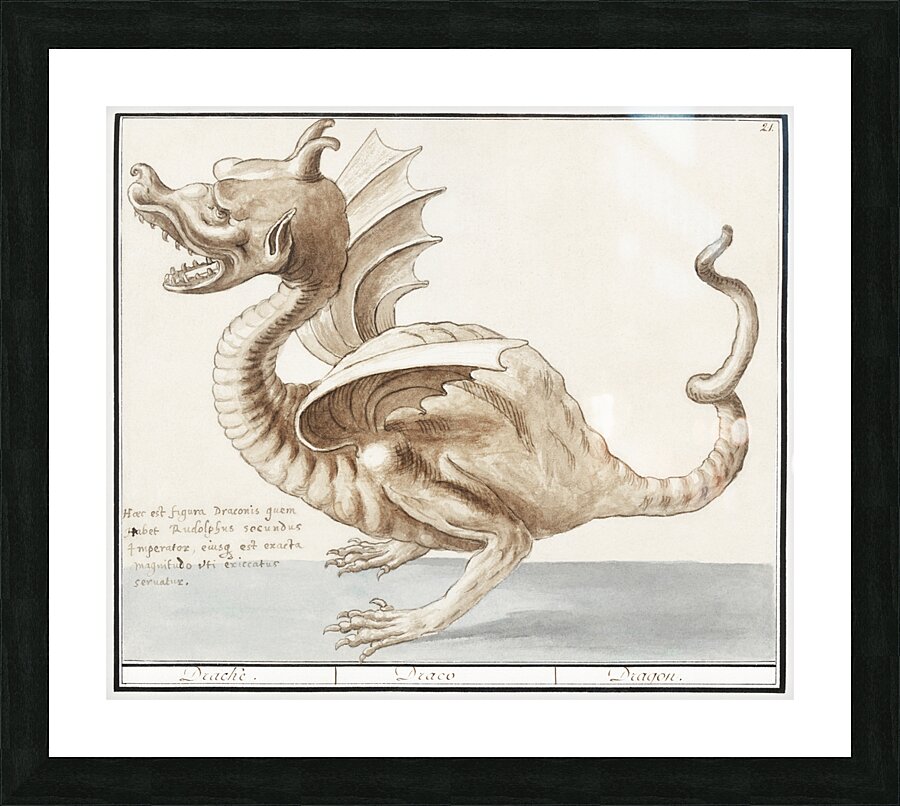 Dragon in vintage style Picture Frame print