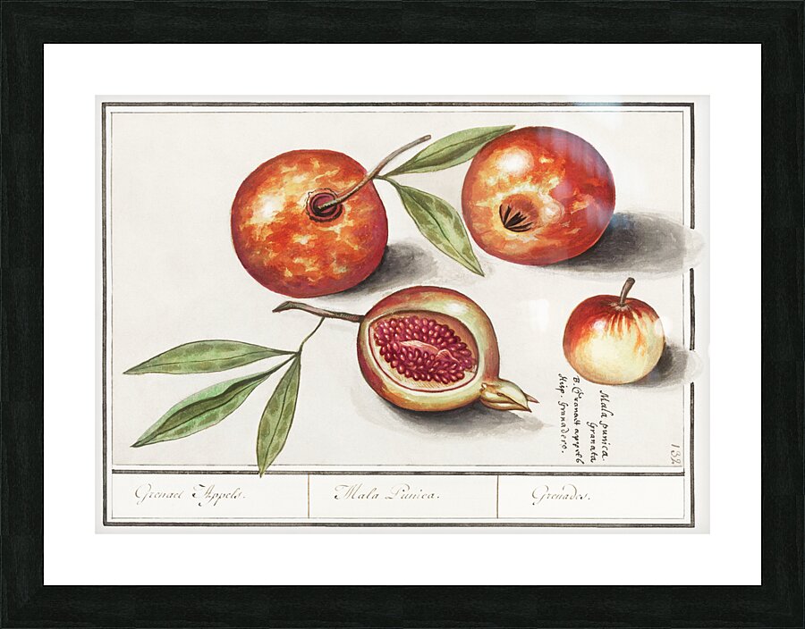 Olive in vintage style Picture Frame print