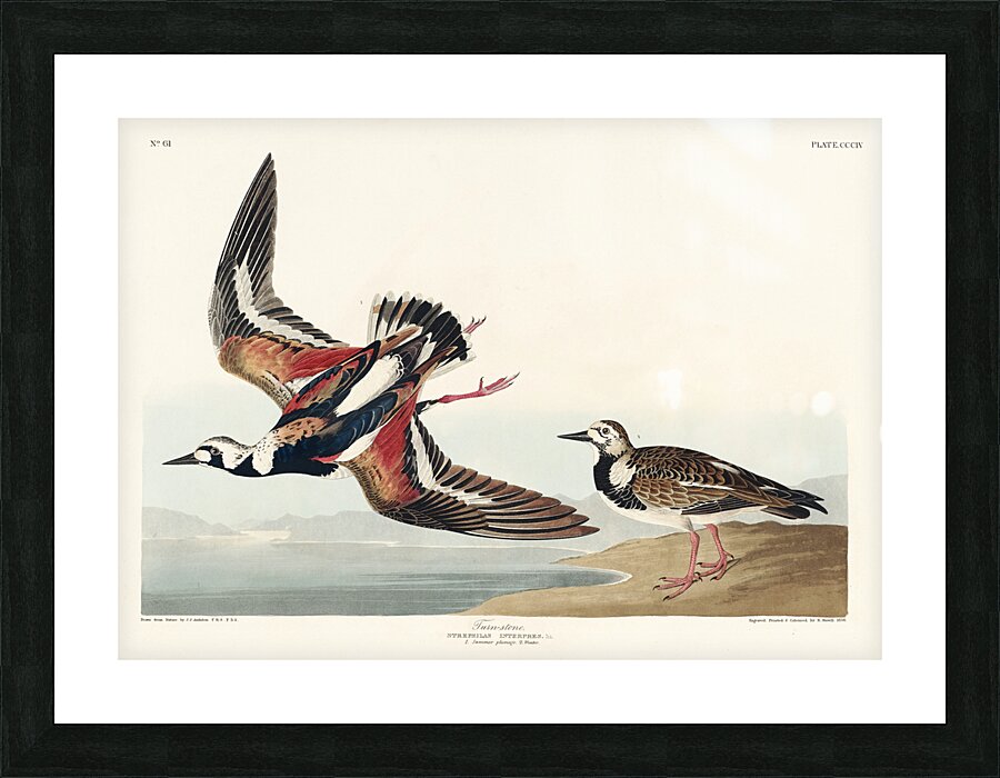 Turn-stone Picture Frame print