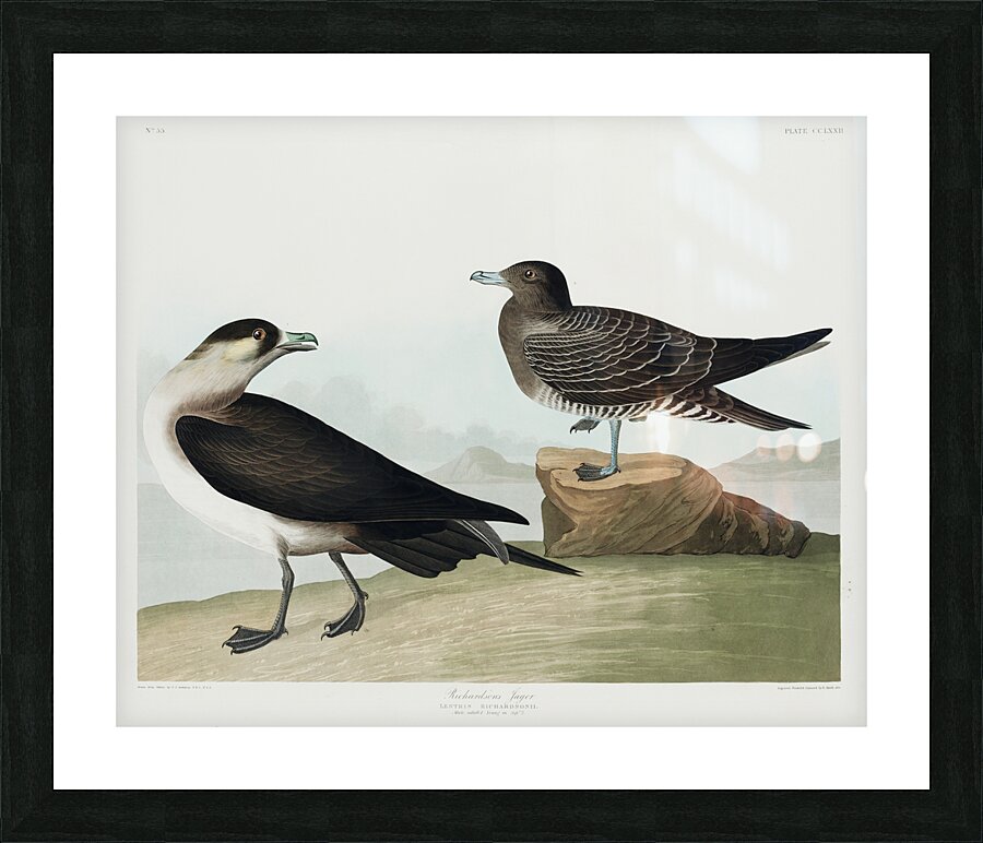 Richardsons Jager Picture Frame print