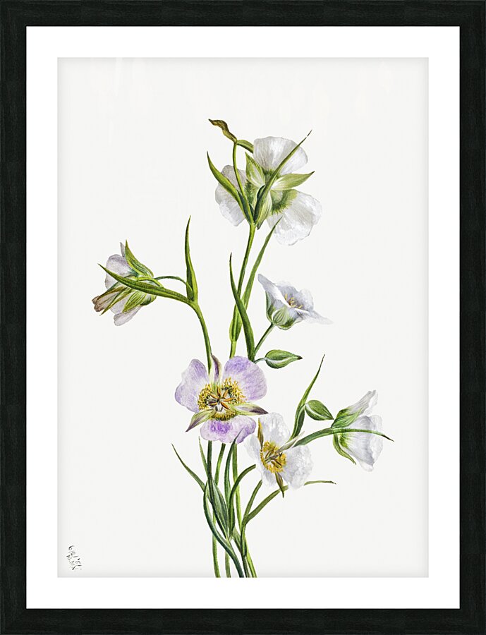 On the Road to Monument 1881 Picture Frame print