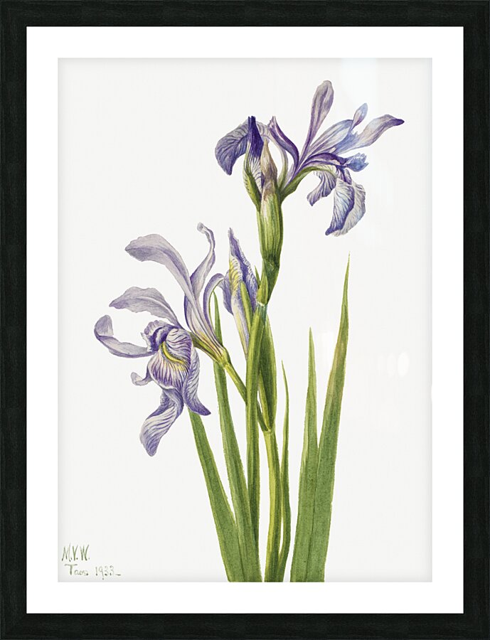 On the Road to Monument 1881 Picture Frame print