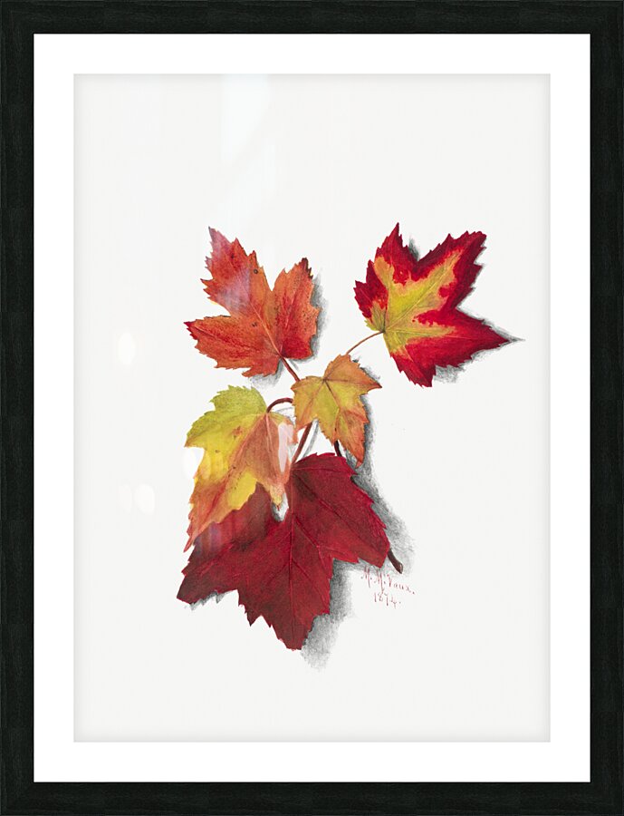 Autumn Leaves 1874 Picture Frame print