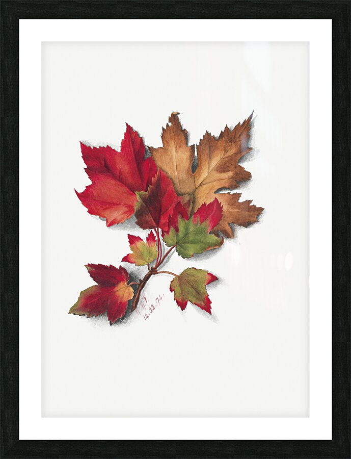 Autumn Leaves 1874 Picture Frame print