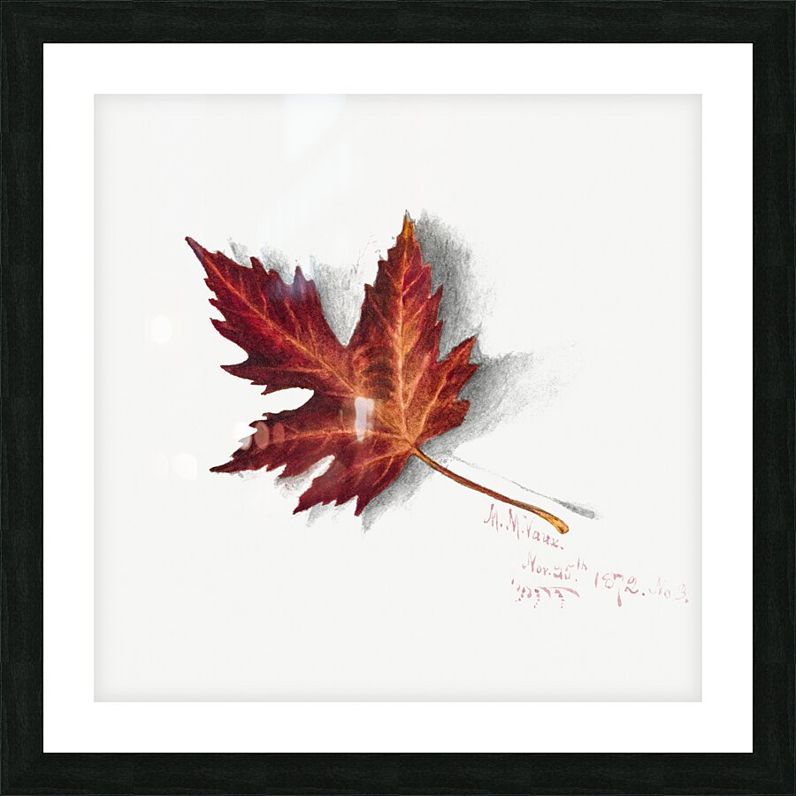 Autumn Leaf 1874 Picture Frame print