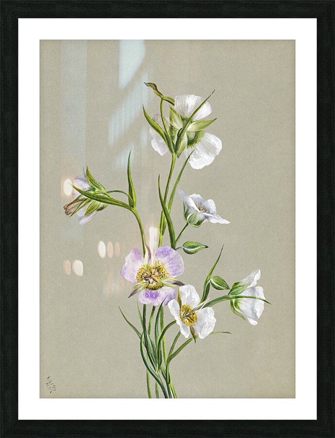 On the Road to Monument 1881 Picture Frame print