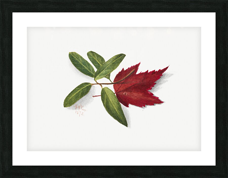 Autumn Leaves 1874 Picture Frame print