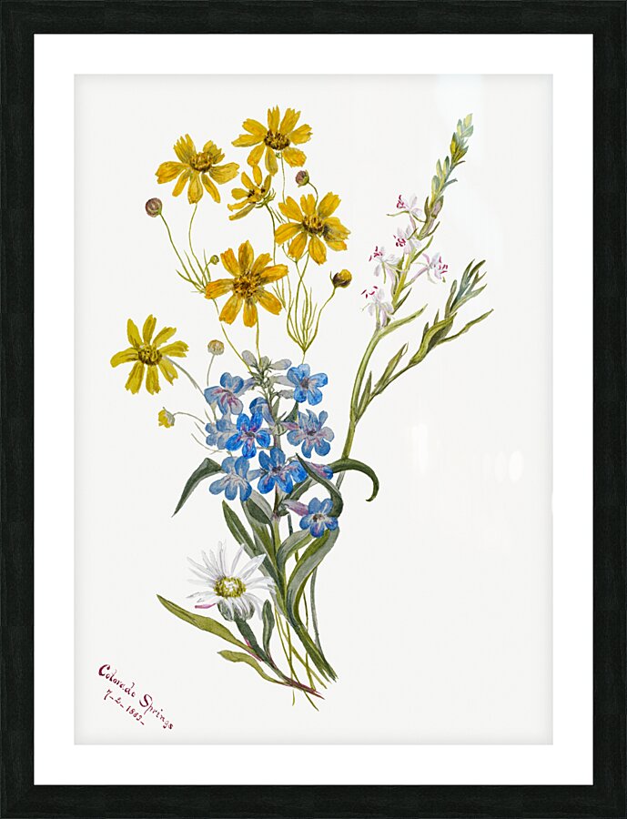 Group of Flowers 1883 Picture Frame print
