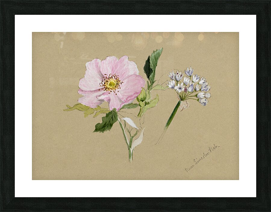 Flower Study 1876–1878 Picture Frame print