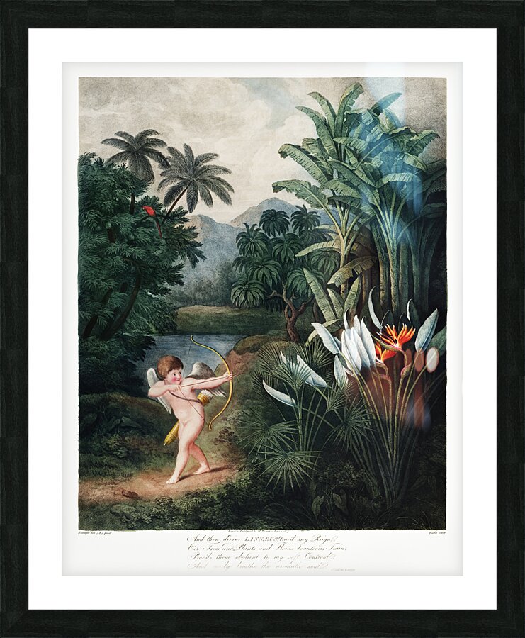 Cupid Inspiring Plants with Love Picture Frame print