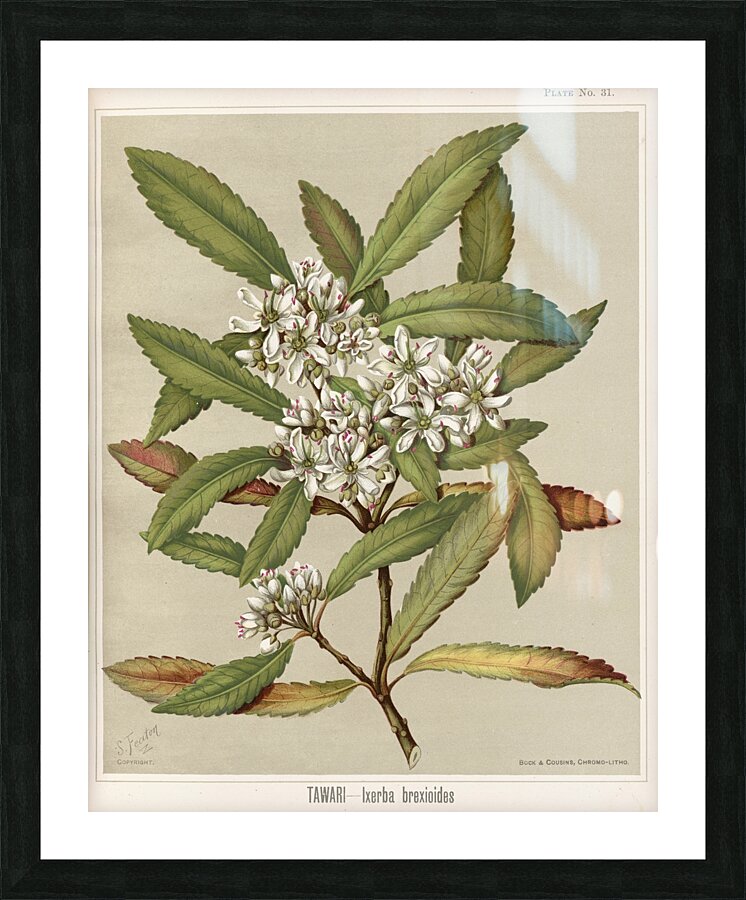 Sarah Featon 031 Picture Frame print