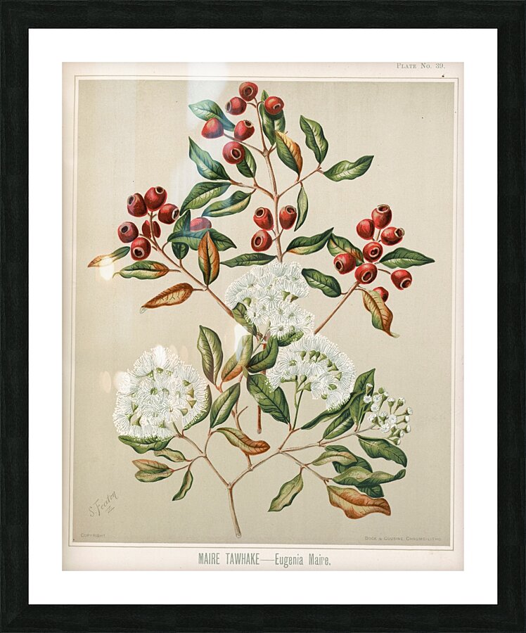 Sarah Featon 024 Picture Frame print