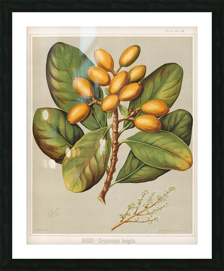 Sarah Featon 020 Picture Frame print