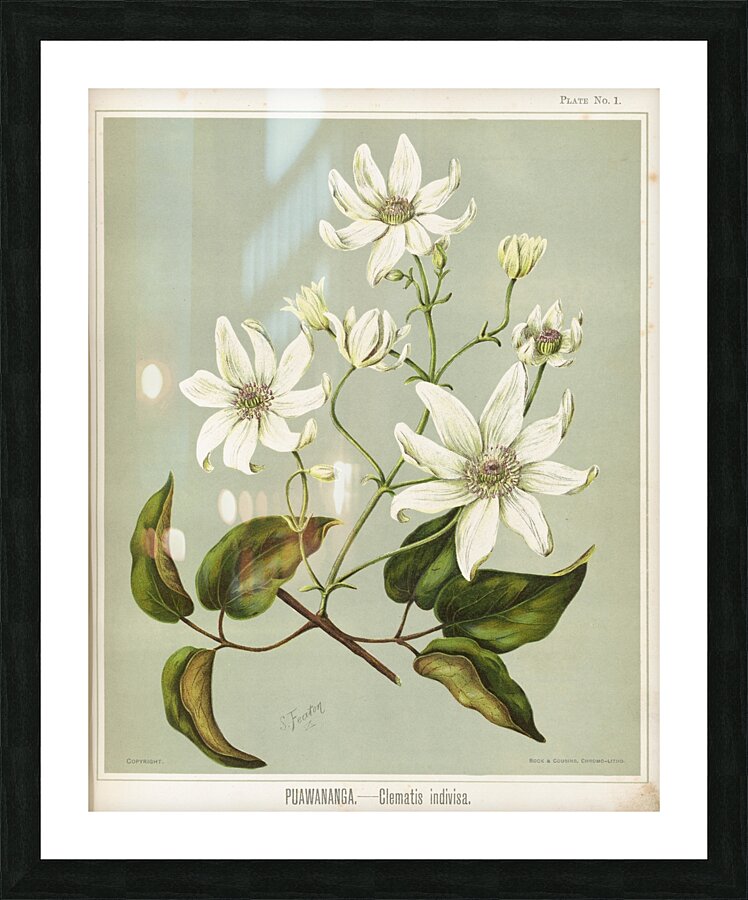 Sarah Featon 029 Picture Frame print