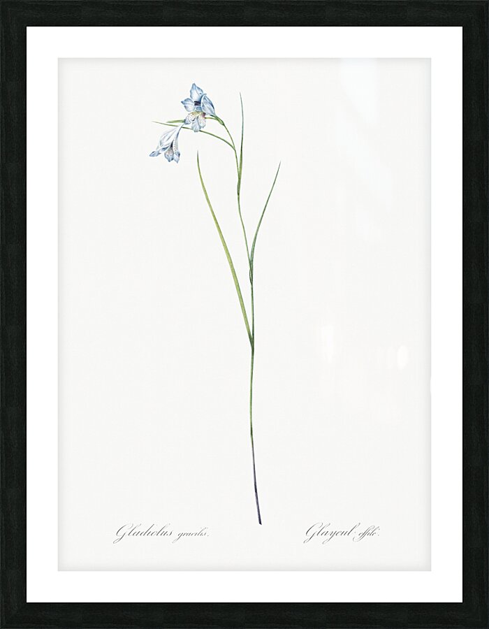 Blue pipe illustration  Picture Frame print