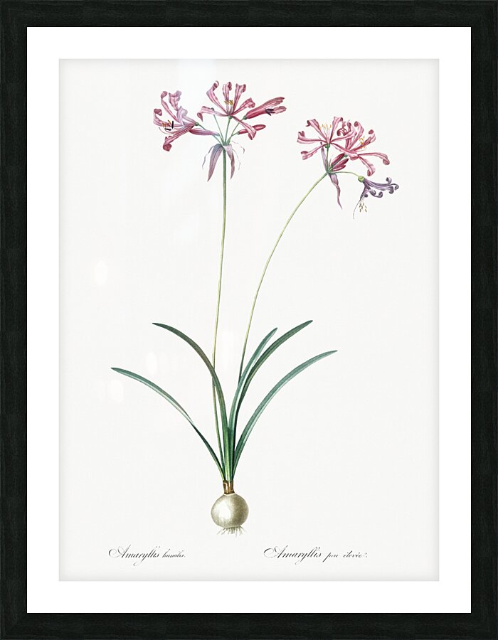 African flag illustration  Picture Frame print