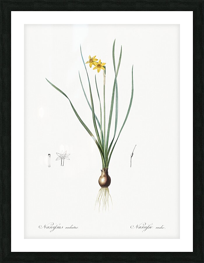 African flag illustration  Picture Frame print