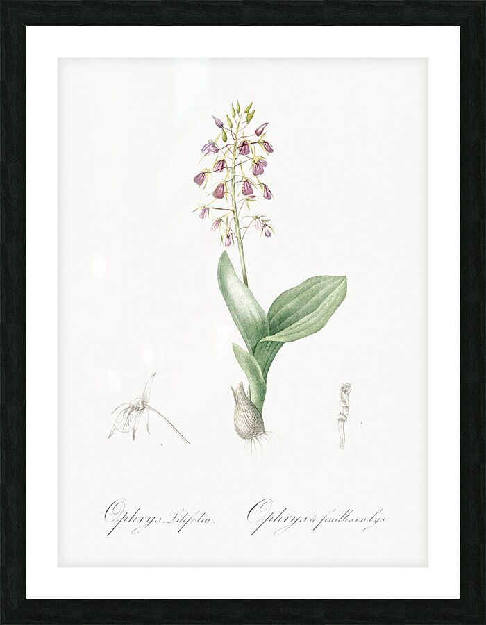 African flag illustration  Picture Frame print