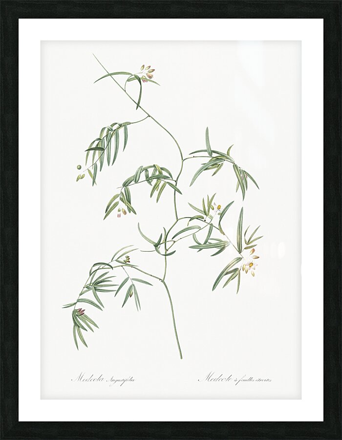 African flag illustration  Picture Frame print