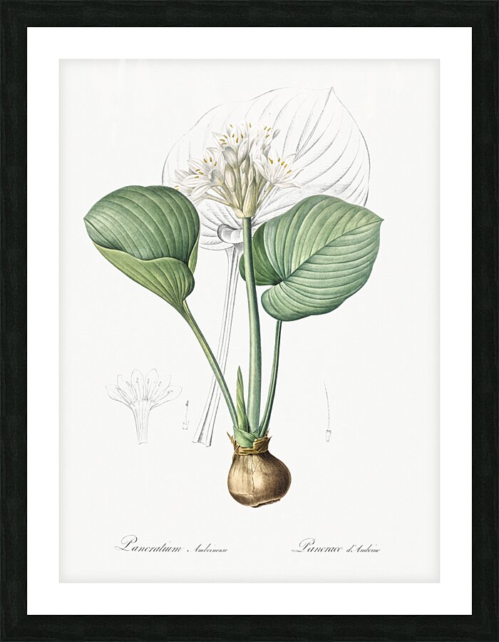 African flag illustration  Picture Frame print