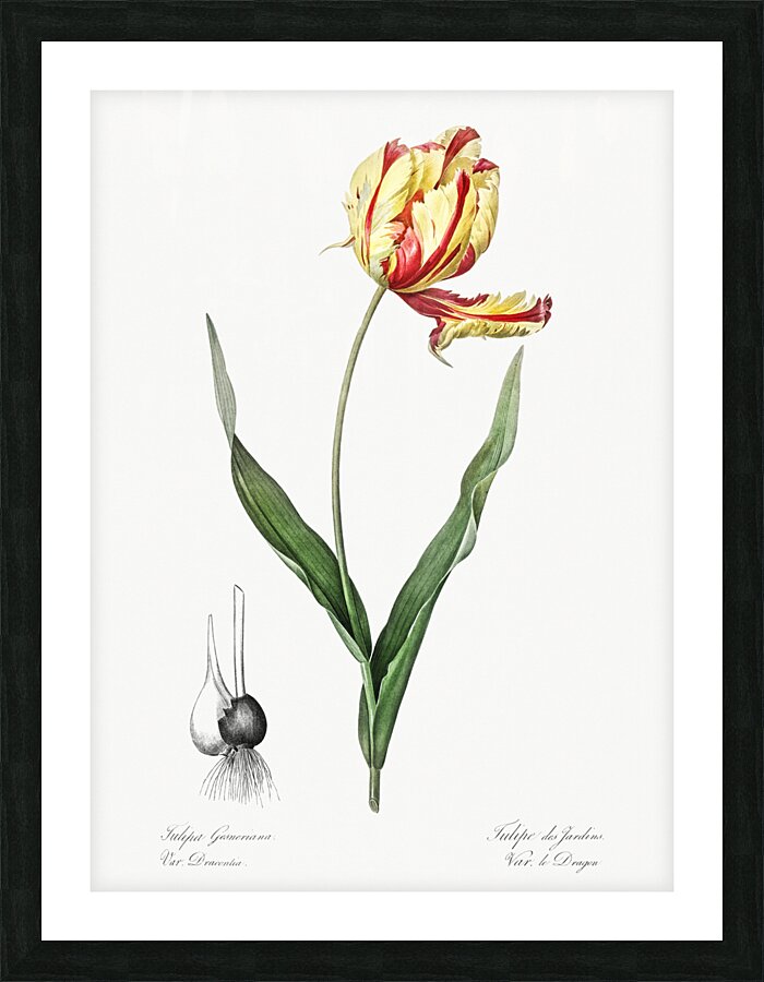 African flag illustration  Picture Frame print