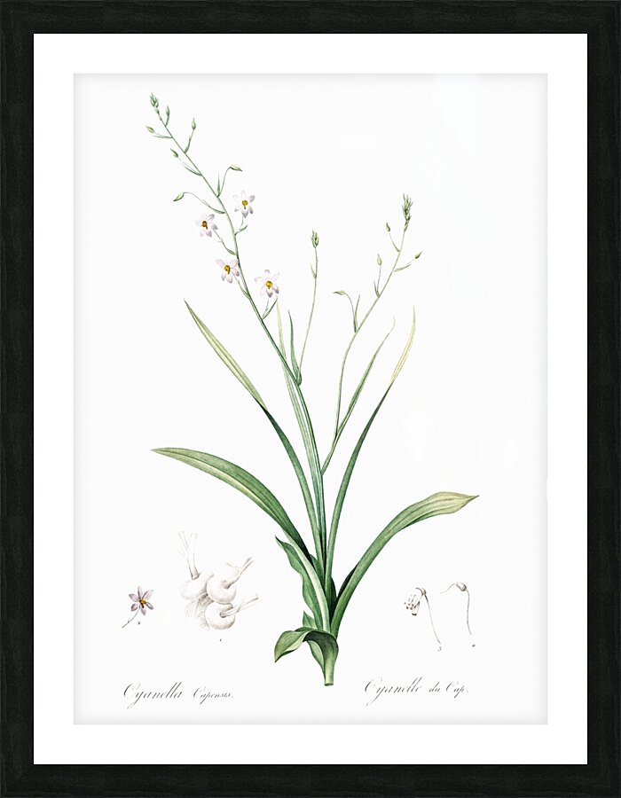 African flag illustration  Picture Frame print