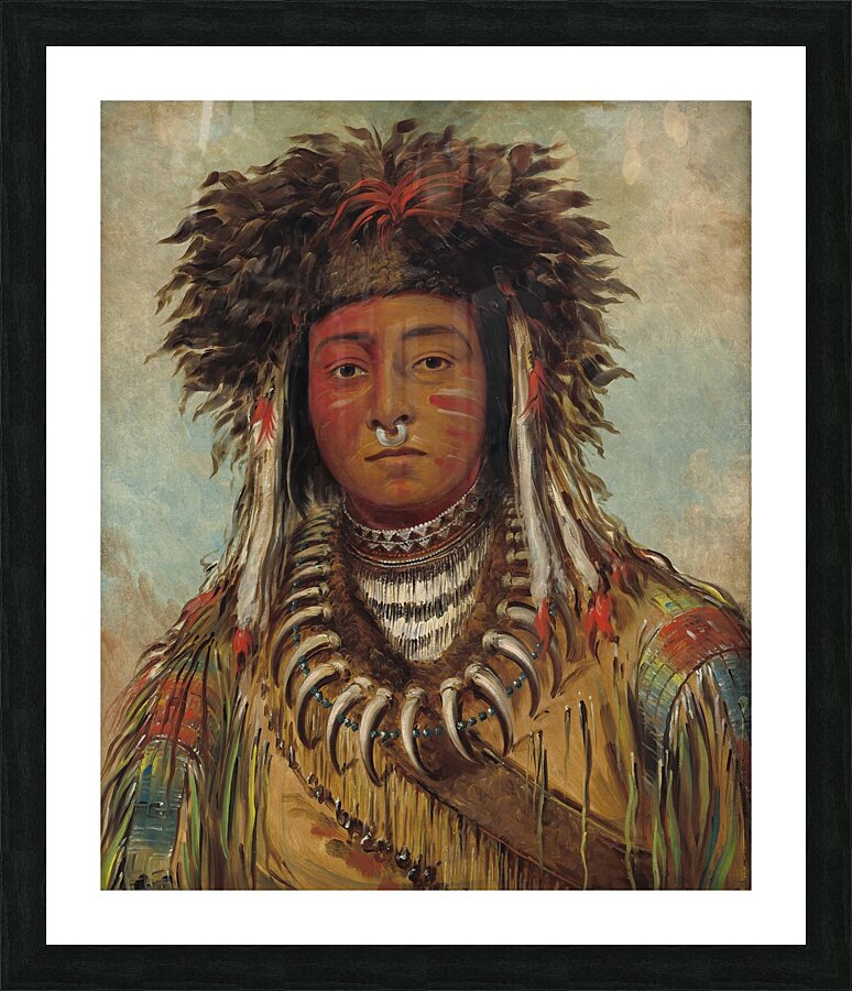 Boy Chief – Ojibbeway 1843 Picture Frame print
