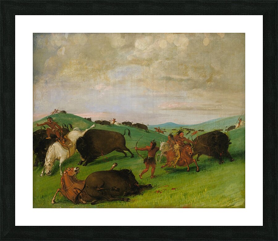 Buffalo Chase Bulls Making Battle With Men And Horses 1832-1833 Picture Frame print