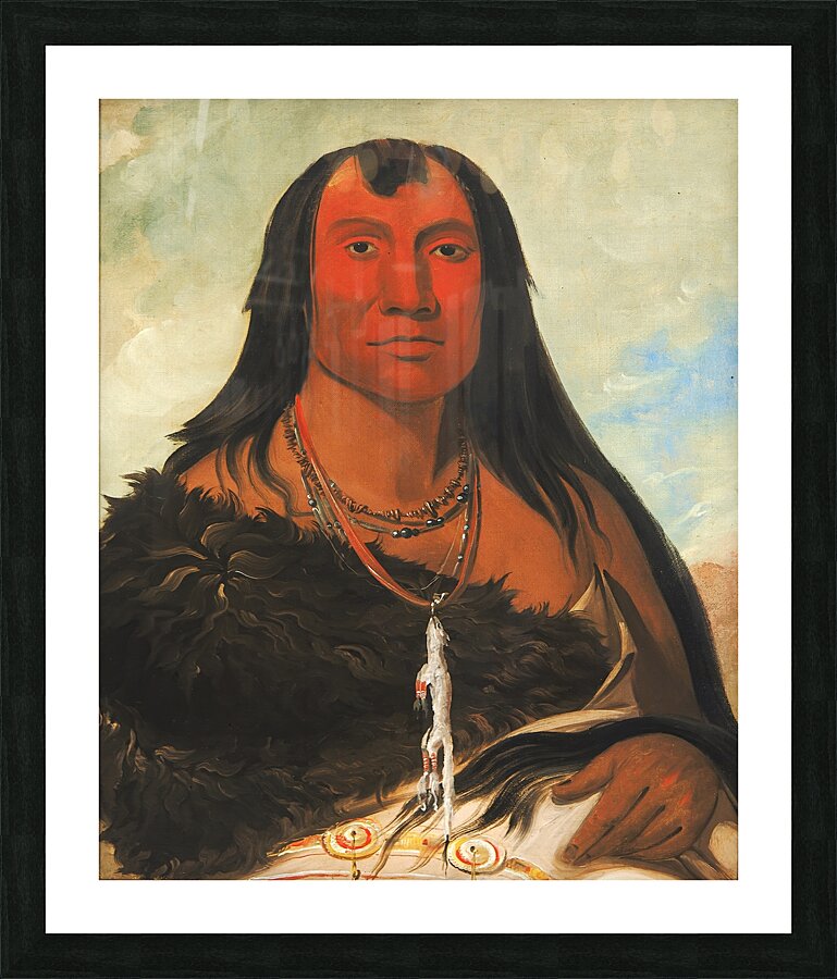 Cháh-Ee-Chópes Four Wolves a Chief In Mourning 1832 Picture Frame print