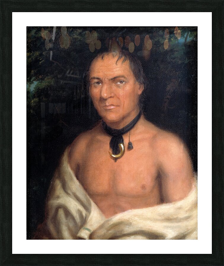 Co-Sne-Boin 1827 Picture Frame print