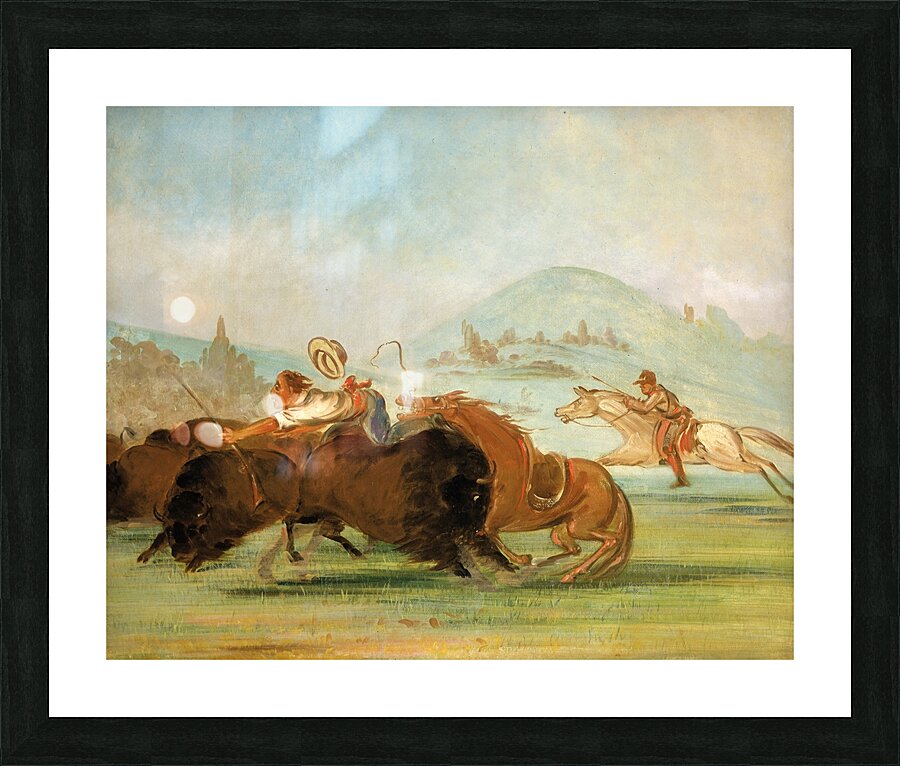 Batiste And I Running Buffalo Mouth of The Yellowstone 1832-1833 Picture Frame print