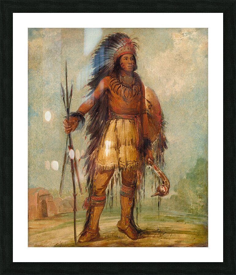 A-Wun-Ne-Wa-Be Bird of Thunder 1845 Picture Frame print