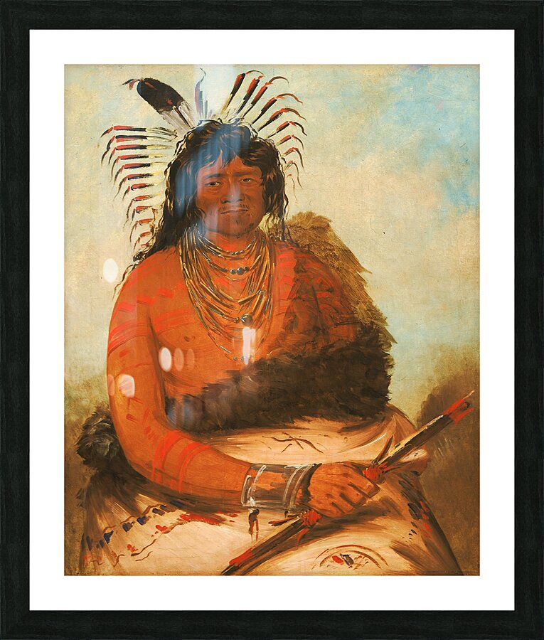 Háh-Nee The Beaver a Warrior 1834 Picture Frame print