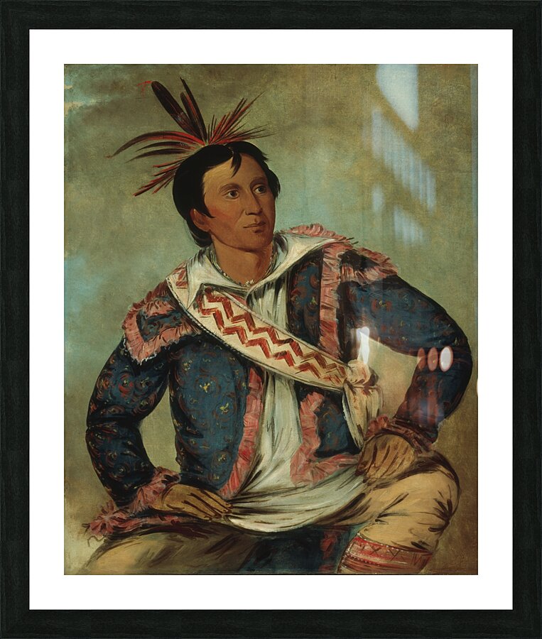 Há-Tchoo-Túc-Knee Snapping Turtle a Half-Breed 1834 Picture Frame print