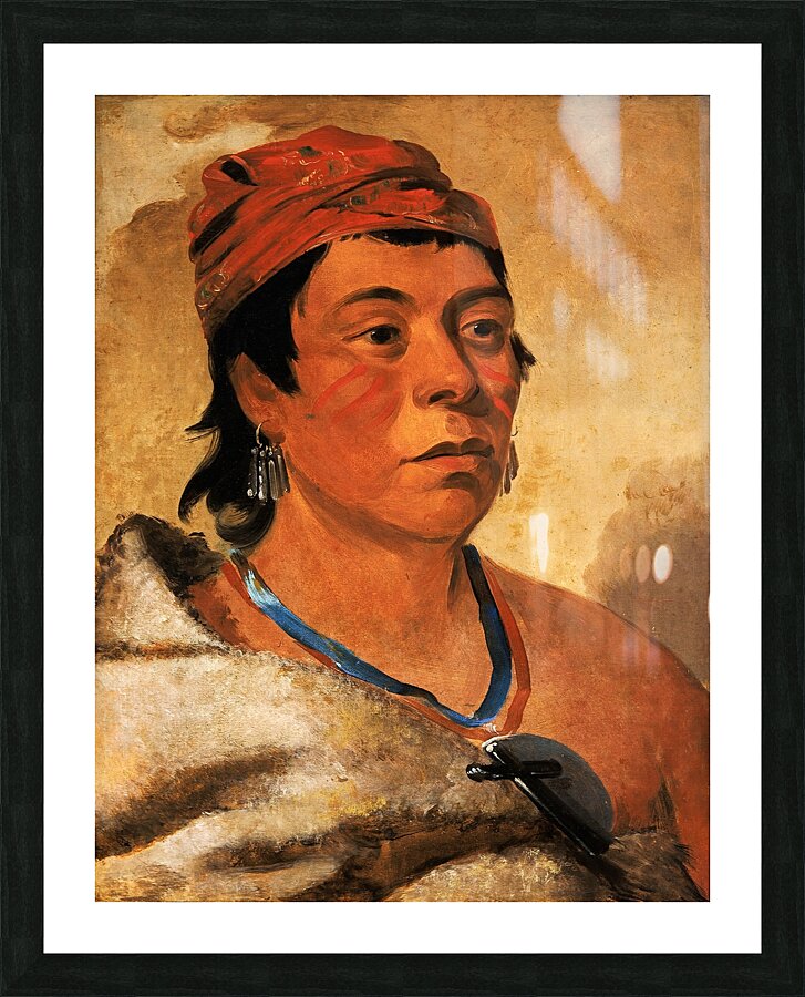 Round Island a Warrior 1831 Picture Frame print