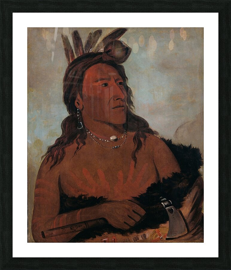 Mah-Tó-Che-Ga Little Bear a Hunkpapa Brave 1832 Picture Frame print