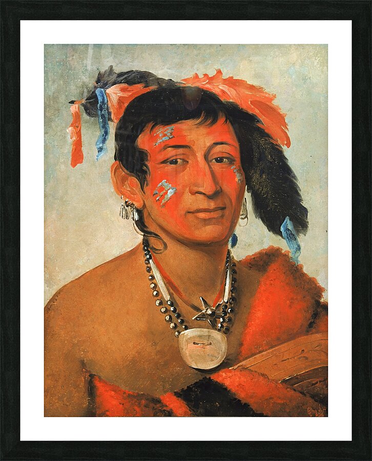 Sha-Wá-No The South a Noted Warrior 1831 Picture Frame print