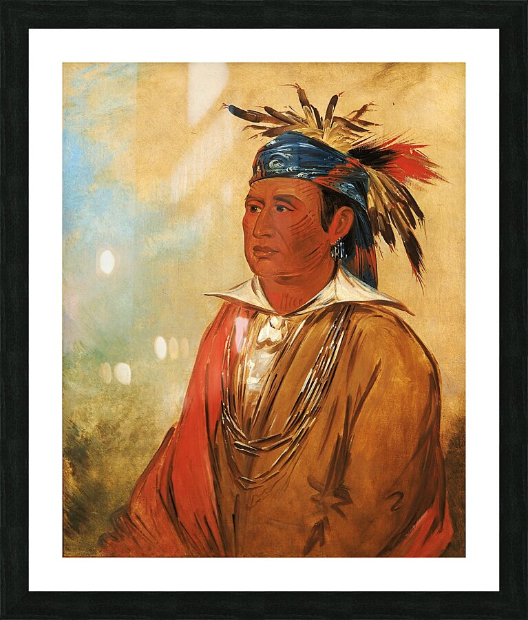 Wah-Pón-Jee-A The Swan a Warrior 1830 Picture Frame print