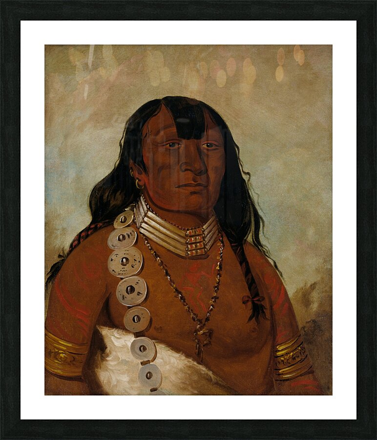 Téh-Tóot-Sah Better Known As Tohausen Little Bluff First Chief 1834 Picture Frame print