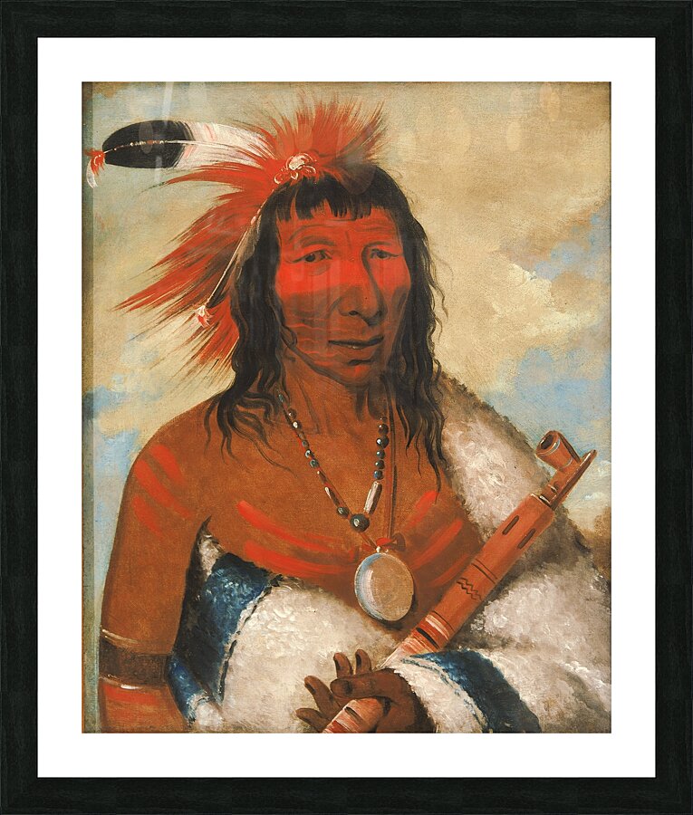 Wá-Nah-De-Túnk-Ah Big Eagle Or Black Dog Chief of The O-Hah-Kas-Ka-Toh-Y-An-Te Band 1835 Picture Frame print