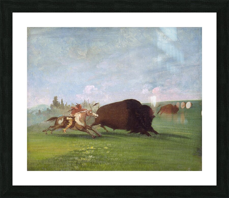 Buffalo Chase a Single Death 1832-1833 Picture Frame print