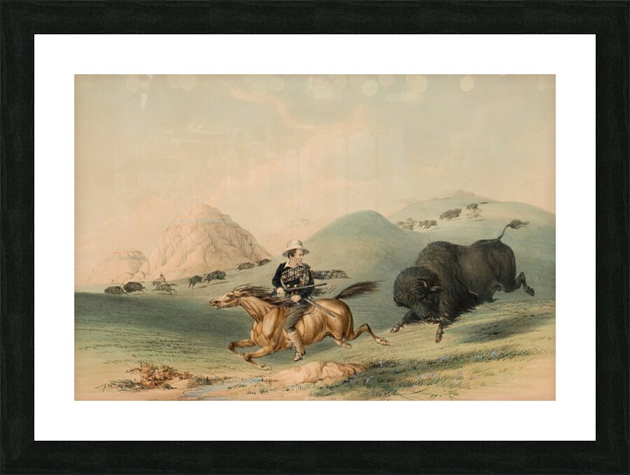 Buffalo Hunt Chasing Back 1844 Picture Frame print