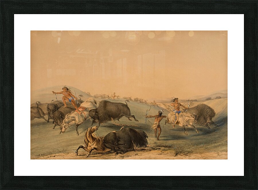 Buffalo Hunt Chase 1844 Picture Frame print