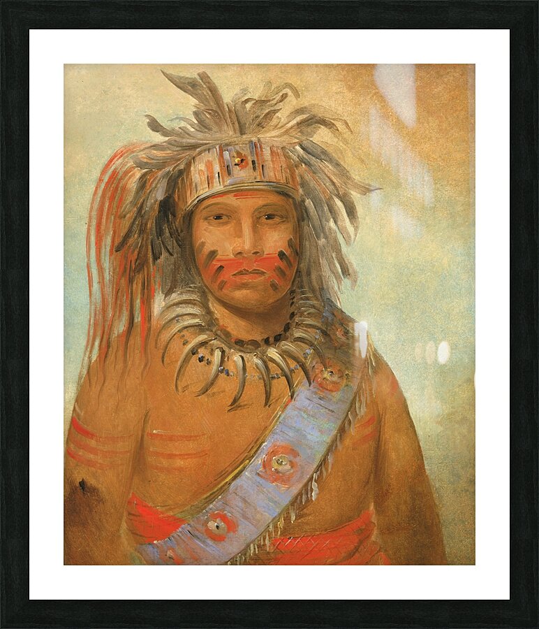 Au-nim-muck-kwa-um Tempest Bird 1845 Picture Frame print