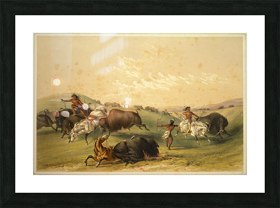 Buffalo Hunt A Numerous Group 1844 Picture Frame print