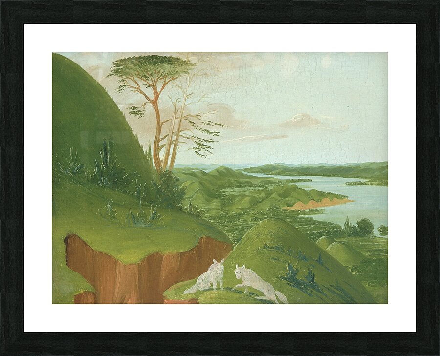 River Bluffs With White Wolves In The Foreground Upper Missouri 1832 Picture Frame print