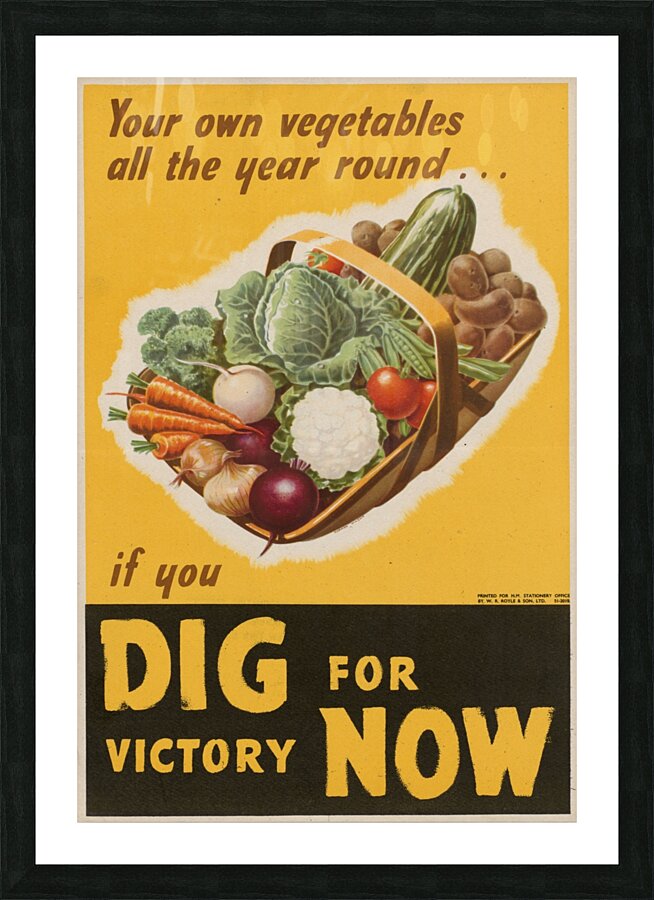 Your Own Vegetables all the Year Round…if You Dig for Victory Now Picture Frame print