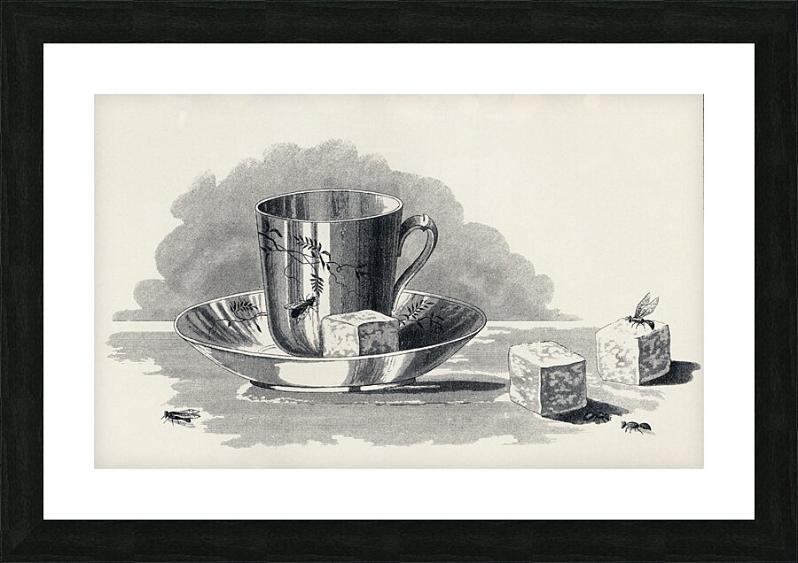 Mary Orvis Marbury 006 Impression et Cadre photo