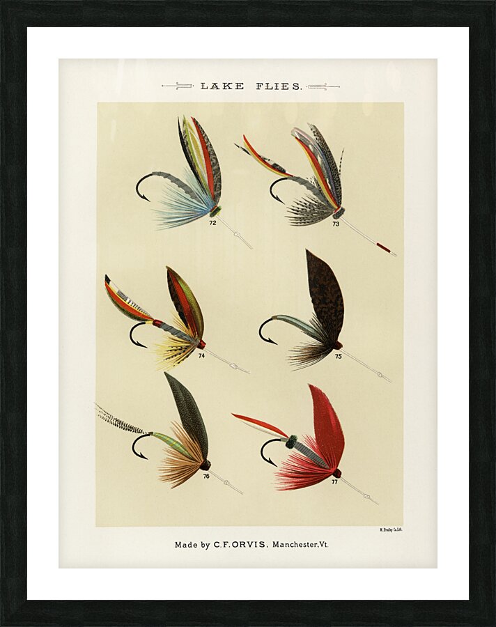 Mary Orvis Marbury 027 Picture Frame print