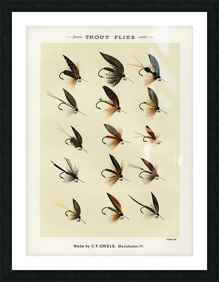 Trout Flies  Picture Frame print
